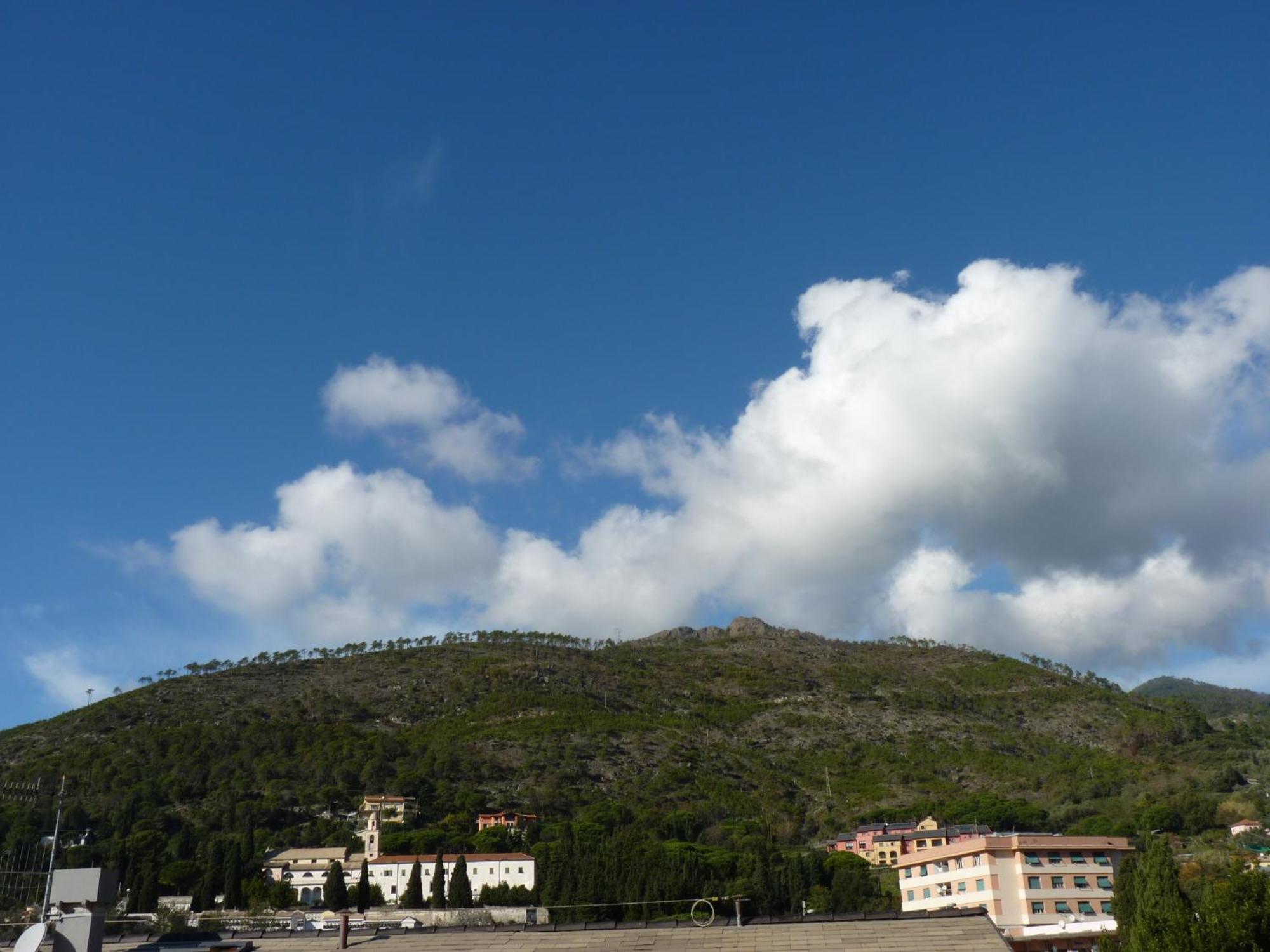 La Gerbera Hotel Levanto Eksteriør billede